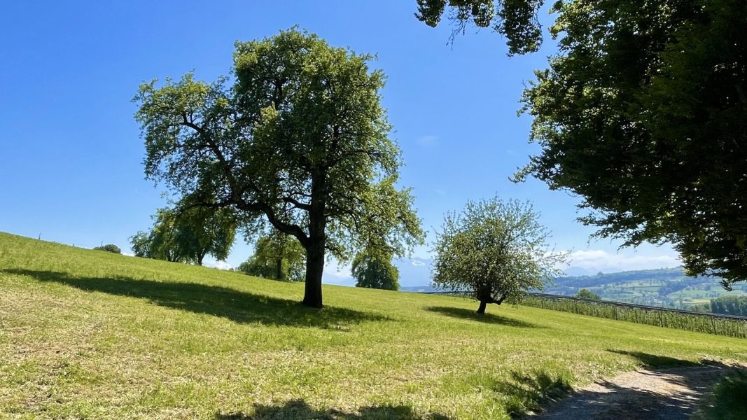 Impressionen von der Wanderung wp-content/uploads/2026/05/IMG_8130.jpeg