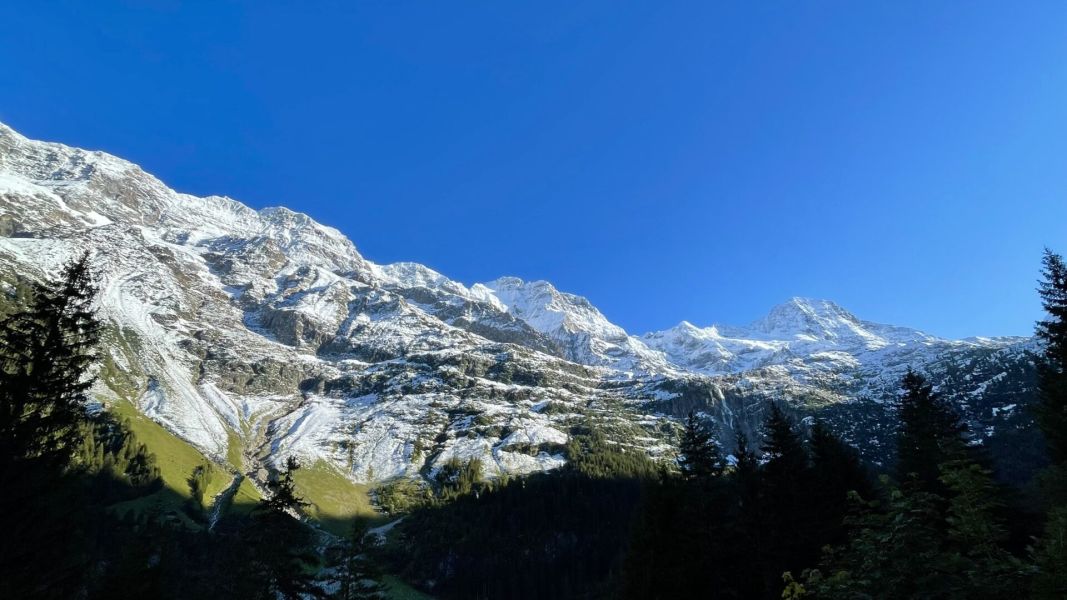 Impressionen von der Wanderung wp-content/uploads/2024/09/IMG_3129.jpeg