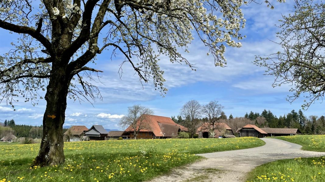 Impressionen von der Wanderung wp-content/uploads/2024/04/IMG_9958.jpeg