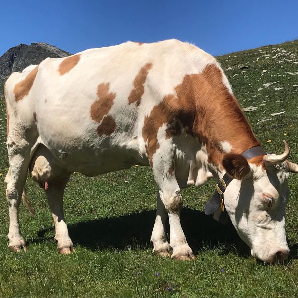 Impressionen von der Wanderung wp-content/uploads/2022/01/117188358_10220705464460904_512597833466398918_n.jpg