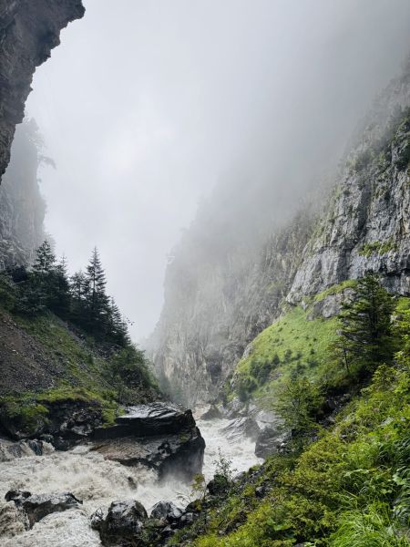 Impressionen von der Wanderung wp-content/uploads/2025/07/IMG_0787.jpeg