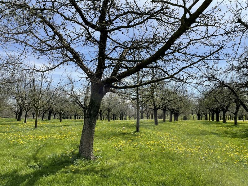 Impressionen von der Wanderung wp-content/uploads/2022/04/IMG_4149-scaled.jpeg