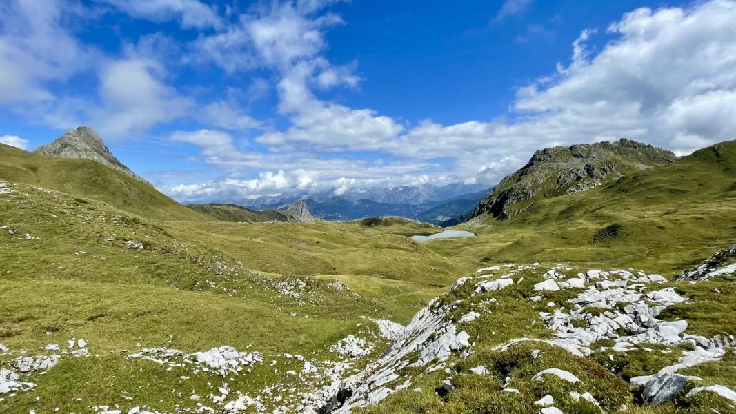 Impressionen von der Wanderung wp-content/uploads/2026/08/00c84a00-40fe-408b-ac19-2d1313f3e6ae.jpg