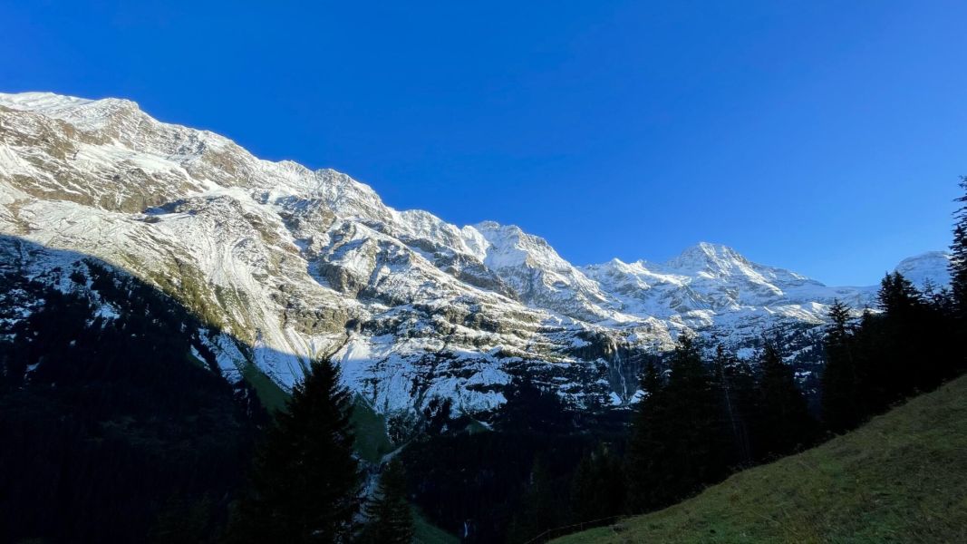 Impressionen von der Wanderung wp-content/uploads/2024/09/IMG_3147.jpeg