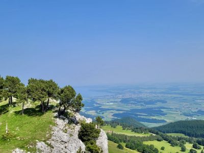 Schwebend zwischen Neuenburger- und Genfersee