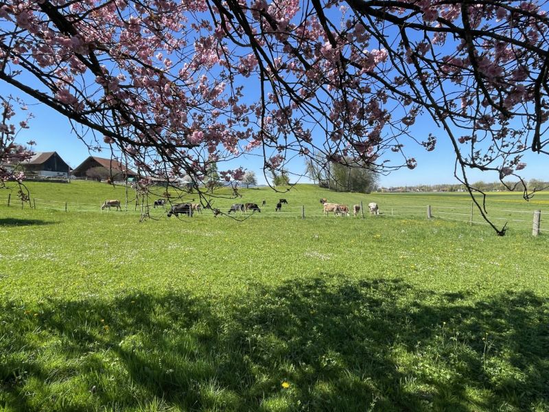 Impressionen von der Wanderung wp-content/uploads/2022/04/IMG_4215-scaled.jpeg