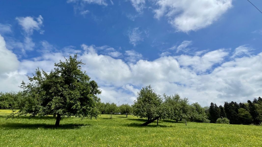 Impressionen von der Wanderung wp-content/uploads/2024/05/IMG_0740.jpeg