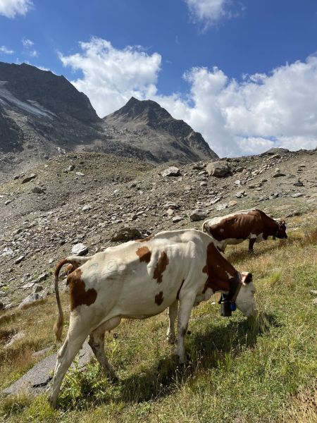 Impressionen von der Wanderung wp-content/uploads/2022/08/IMG_6272.jpeg