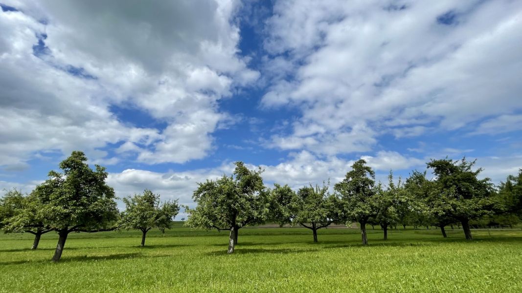 Impressionen von der Wanderung wp-content/uploads/2024/05/IMG_0784.jpeg