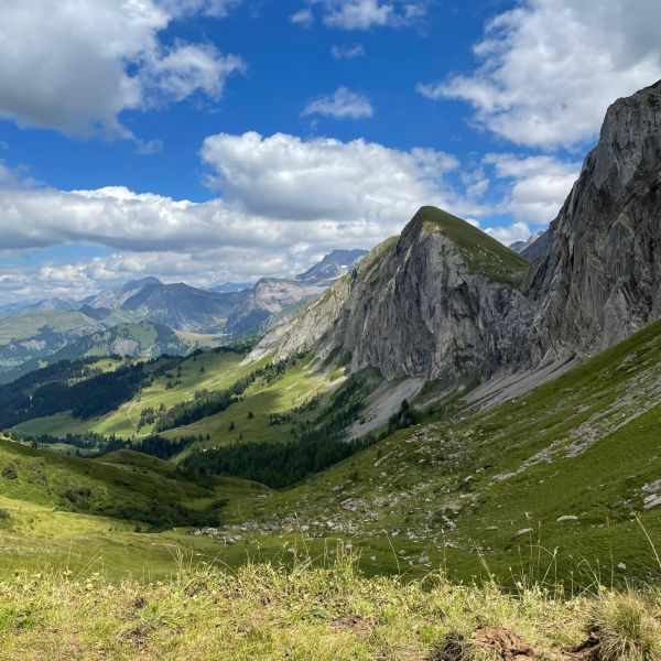 Impressionen von der Wanderung wp-content/uploads/2022/08/Alain_009.jpeg