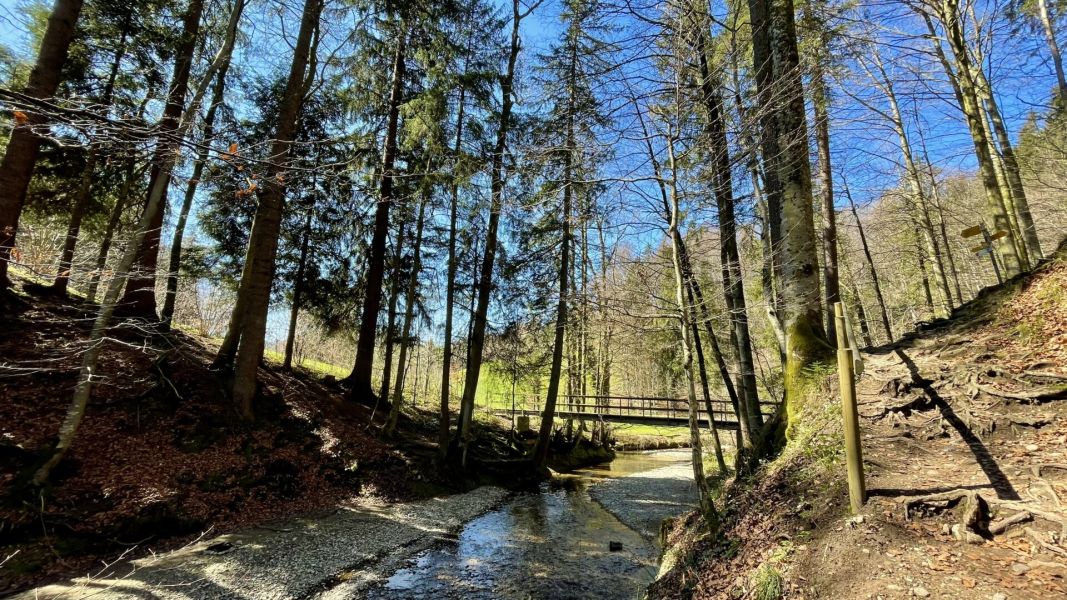 Impressionen von der Wanderung wp-content/uploads/2025/04/IMG_4274.jpeg