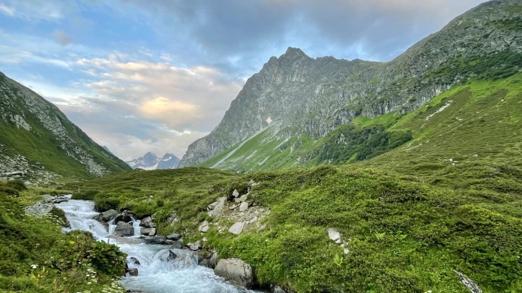 Impressionen von der Wanderung wp-content/uploads/2024/07/IMG_2475.jpeg