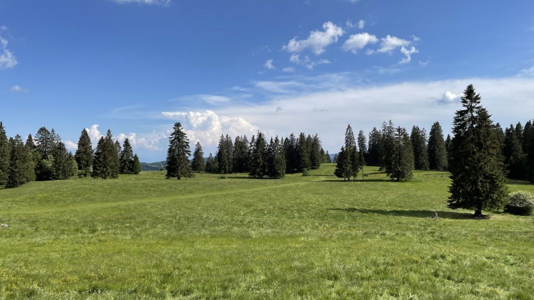 Impressionen von der Wanderung wp-content/uploads/2023/06/IMG_1750.jpeg