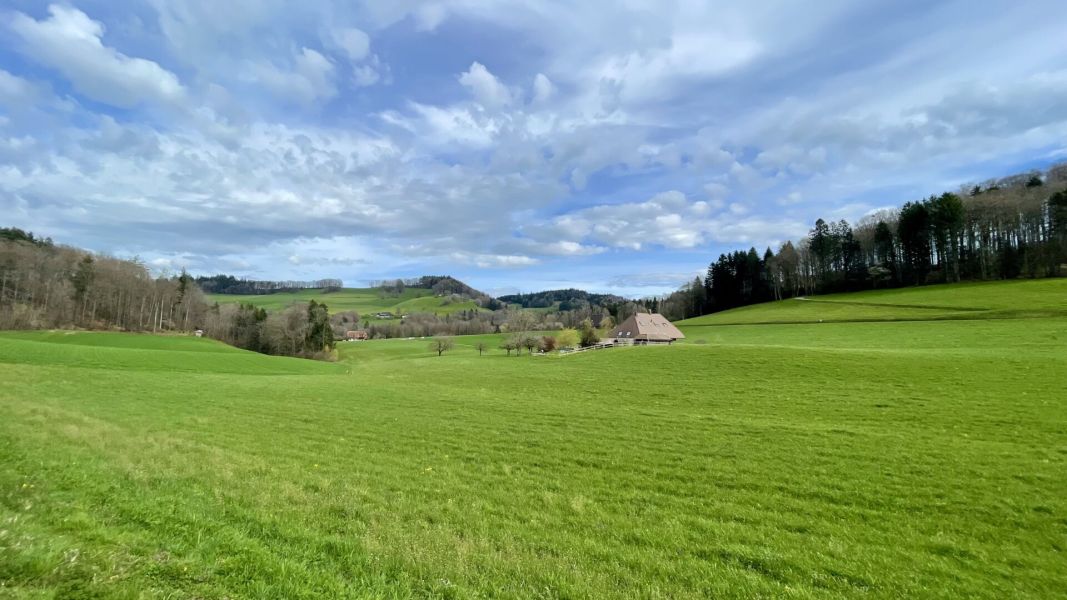 Impressionen von der Wanderung wp-content/uploads/2024/04/IMG_9990.jpeg