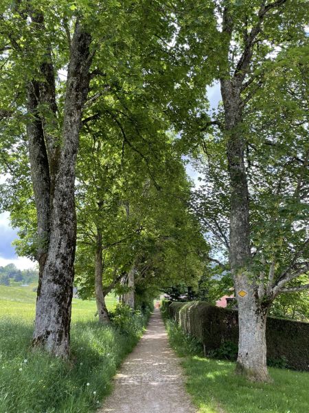 Impressionen von der Wanderung wp-content/uploads/2023/06/IMG_1705.jpeg