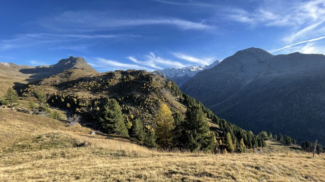 Impressionen von der Wanderung wp-content/uploads/2023/10/IMG_6838.jpeg