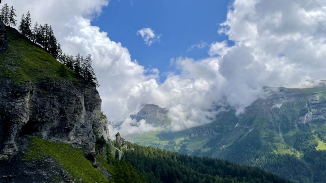 Impressionen von der Wanderung wp-content/uploads/2025/08/IMG_6042.jpeg