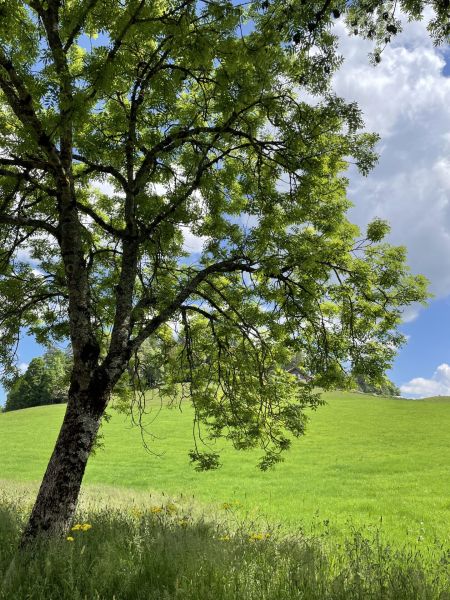 Impressionen von der Wanderung wp-content/uploads/2023/06/IMG_1706.jpeg