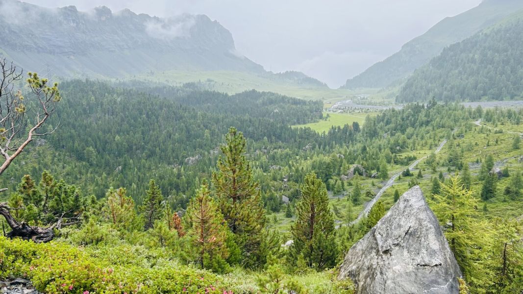 Impressionen von der Wanderung wp-content/uploads/2025/08/IMG_3991.jpeg