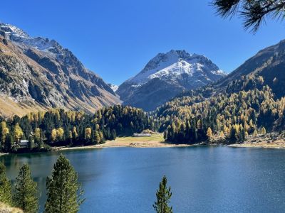 Rundtour durchs Bilderbuch
