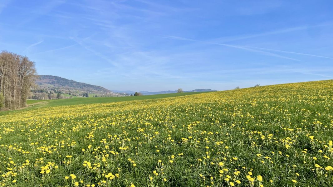 Impressionen von der Wanderung wp-content/uploads/2026/04/IMG_7894.jpeg