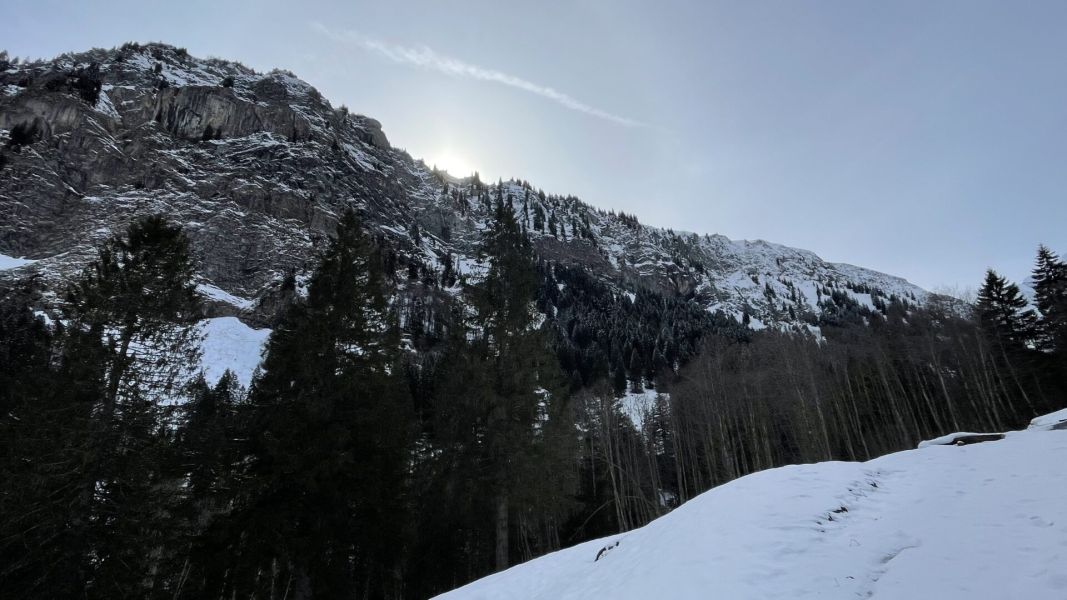 Impressionen von der Wanderung wp-content/uploads/2024/02/IMG_8715.jpeg