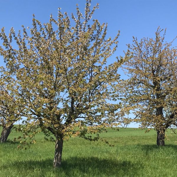 Impressionen von der Wanderung wp-content/uploads/2022/01/178346682_10222763065659648_6741220203540602076_n.jpg