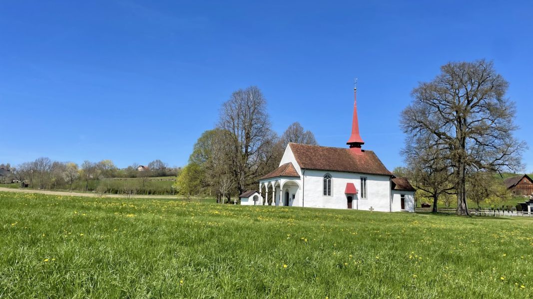 Impressionen von der Wanderung wp-content/uploads/2026/04/IMG_7939.jpeg