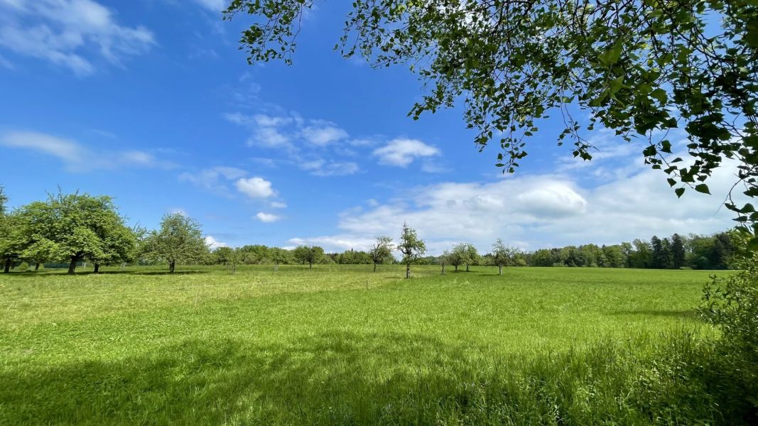 Impressionen von der Wanderung wp-content/uploads/2024/05/IMG_0760.jpeg