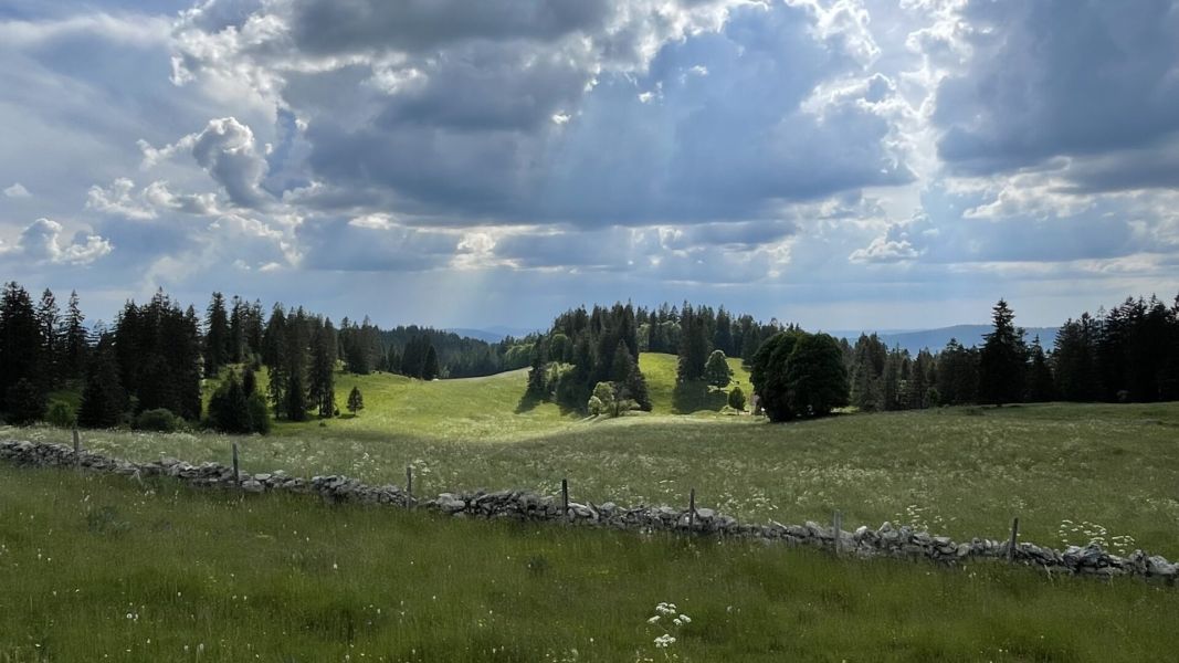 Impressionen von der Wanderung wp-content/uploads/2023/06/IMG_1756.jpeg