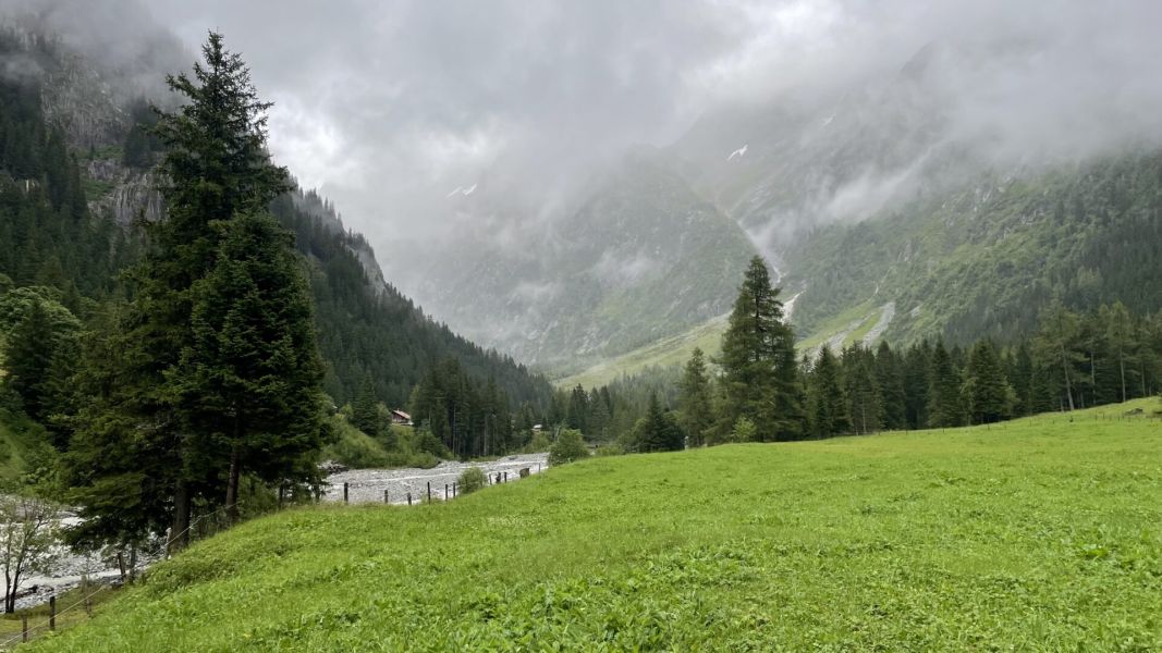 Impressionen von der Wanderung wp-content/uploads/2025/07/IMG_5994.jpeg