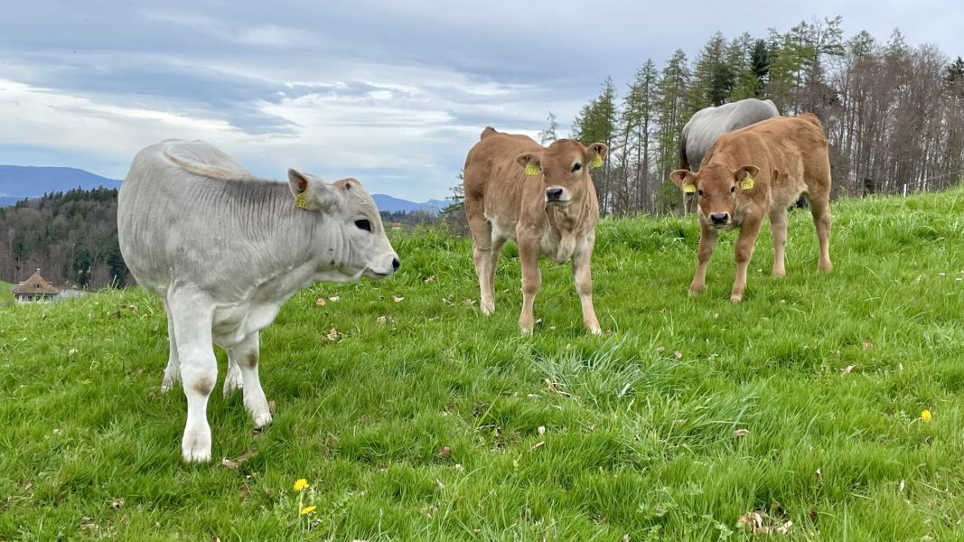 Impressionen von der Wanderung wp-content/uploads/2024/04/IMG_0001.jpeg