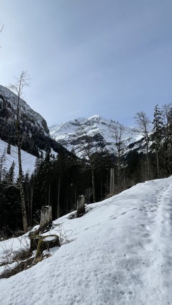 Impressionen von der Wanderung wp-content/uploads/2024/02/IMG_8721.jpeg