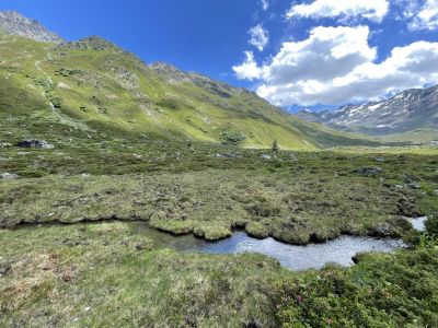 Via Valtellina: 2. Tagesetappe: Davos Dorf – Dürrboden