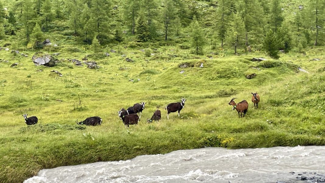 Impressionen von der Wanderung wp-content/uploads/2025/08/IMG_6024.jpeg