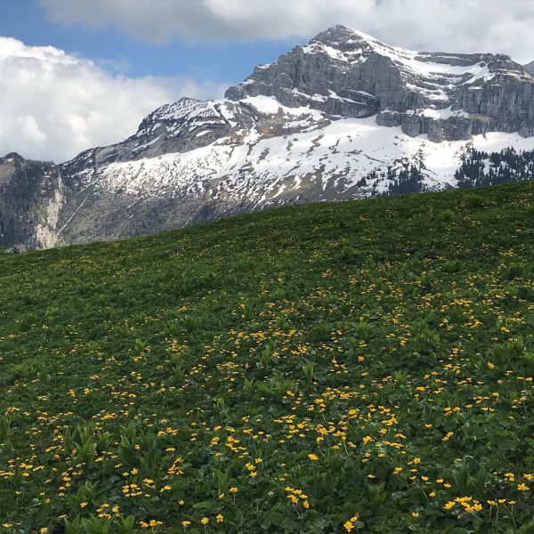Impressionen von der Wanderung wp-content/uploads/2022/01/61875526_10216836183411296_7319555855085469696_n.jpg