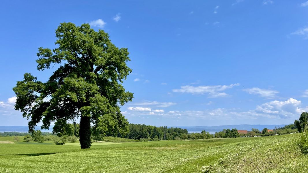 Impressionen von der Wanderung wp-content/uploads/2025/05/IMG_4821.jpeg