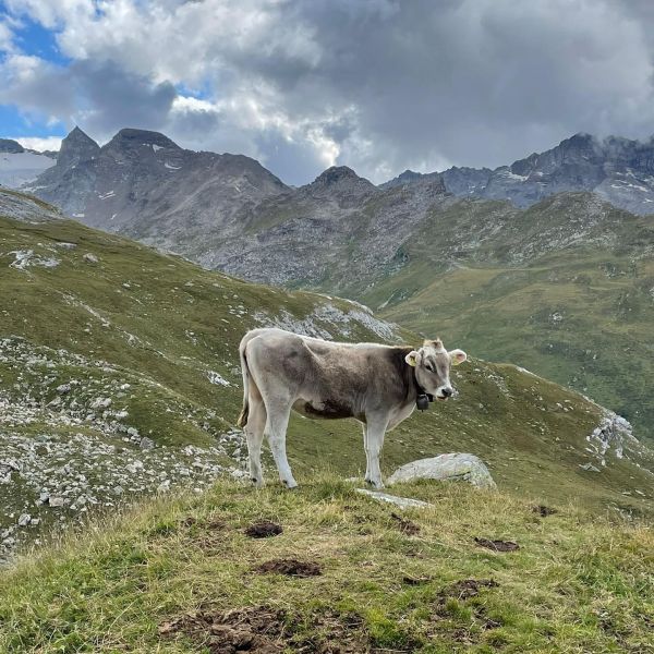 Impressionen von der Wanderung wp-content/uploads/2022/01/240937877_10223580150886268_7864681446499532269_n.jpg