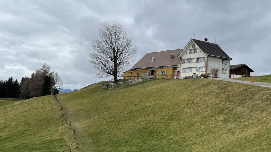 Impressionen von der Wanderung wp-content/uploads/2023/02/IMG_8241.jpeg