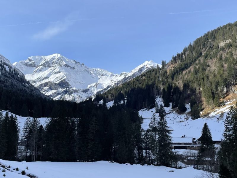 Unbekannt – trotzdem sehr schön